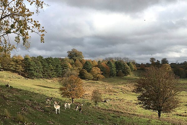 Linton Park Maidstone (c) Cllr Brian Clark